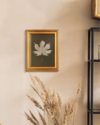 VIYYIEA Vintage Gold Framed Wall Art for Living Room, Maple Leaf Canvas Prints Home Decor, Oil Painting Picture, Bedroom Wall Decor Gifts for Friends or Family -【Maple Leaf Specimen】-(10L x 8W)