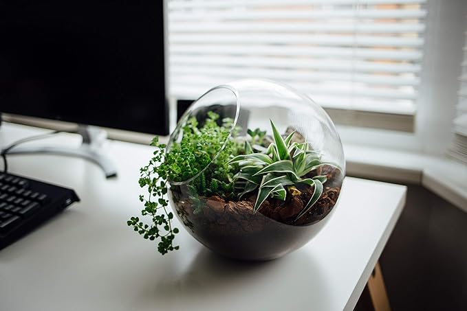 WGV Slant Cut Bowl Glass Vase, Width 5.5", Height 5.5", Clear Round Globe Planter Terrarium Orb, Candy Dish, Fruit Jar, Floral Container for Home Office Decor, 1 Piece