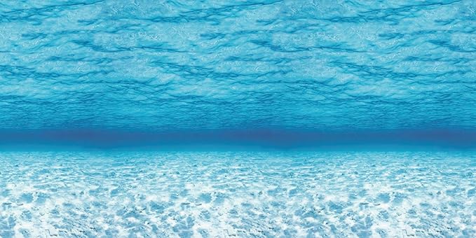 Fadeless Bulletin Board Paper, Fade-Resistant Paper for Classroom Decor, 48” x 50’, Under the Sea, 1 Roll