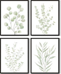 Drsoum Botanical Plant Framed Wall Art Boho Wall Decor for Bathroom Sage Green Eucalyptus Leaf Prints Minimalist Aesthetic Ready to Hang Set of 4, 11x14 in (Black Framed)