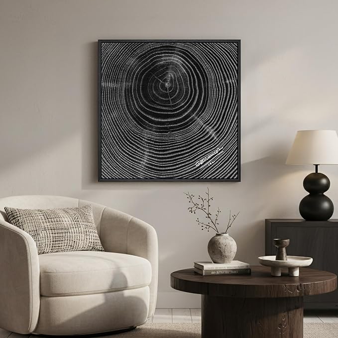 Framed Square Black Tree Ring Abstract Wall Art, Modern Nature Canvas Prints, Contemporary Black Minimalist Tree Lines Pictures for Living Room Bedroom Dining Room Hallway Office Wall Decor 24x24 In