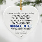 in Case Nobody Told You Today: You are Amazing, Important & Make a Difference - Affirmations Sign | Office Gift, Appreciation Gifts, Thank You Gifts, Going Away, Retirement Gift | Christmas Ornament
