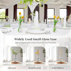 Glasseam Clear Flower Vases for Centerpieces: Modern Glass Vase Set of 12 for Wedding Party Centerpiece Home Table Decor 5.5In Small Bud Vases for Flowers Rose Tulip Stems