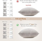 puredown® Natural Feather Down Throw Pillow Inserts 20 x 20 (Set of 2, White), Décor Pillow for Couch, Chairs, Office, Apartments