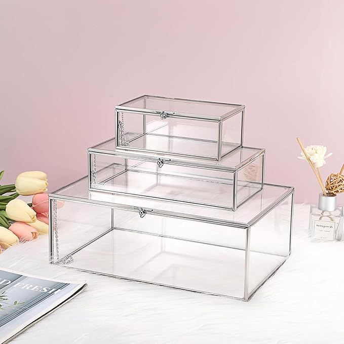 Hipiwe Vintage Silver Rectangle Jewelry Display Organizer Box with Lid, X-Large, USSN202312DUH