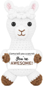 DAFURIET Funny Emotional Llama Gifts for Him Her, Positive Crochet Animals Fathers Day Birthday Anniversary Graduation Inspirational Appreciation Gift for Coworker Friend Colleague Teacher Mom Dad