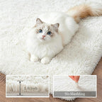 Fluffy 5x7 Area Rugs for Living Room Bedroom: Ultra Soft Shag Rug Non-Slip Non-Shedding Small Plush Bedside Rug Indoor Floor Carpets for Kids Room Playroom Entryway Nursery Dorms Home Decor Ivory