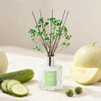 Airkeep Reed Diffuser Set,3.38 fl oz (100 ml) - Cucumber Melon Oil Diffusers with 8 Reed Sticks, Home Fragrance Reed Diffuser for Bathroom Shelf Decor