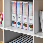 Acrimet Magazine File Holder Bin Storage, Vertical Rack for Documents, Folders and Mail, Durable Plastic Desk Organizer for Office & Home (Clear Crystal) (2 Pack)