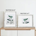 Egofine 11x14 Picture Frames Set of 4, Made of Solid Wood Covered by Plexiglass 5x7 and 8x10 with Mat or 11x14 without Mat, for Table Top Display and Wall Mounting Photo Frame Driftwood White