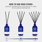 Xcleen Reed Diffuser Set with Sticks 3.7 Oz, Vanilla, Coconut & Milk Scented Fragrance Oil Diffuser for Home Bedroom & Kitchen, Long-Lasting Room Air Freshener, Mind & Body Aromatherapy, Gift Idea
