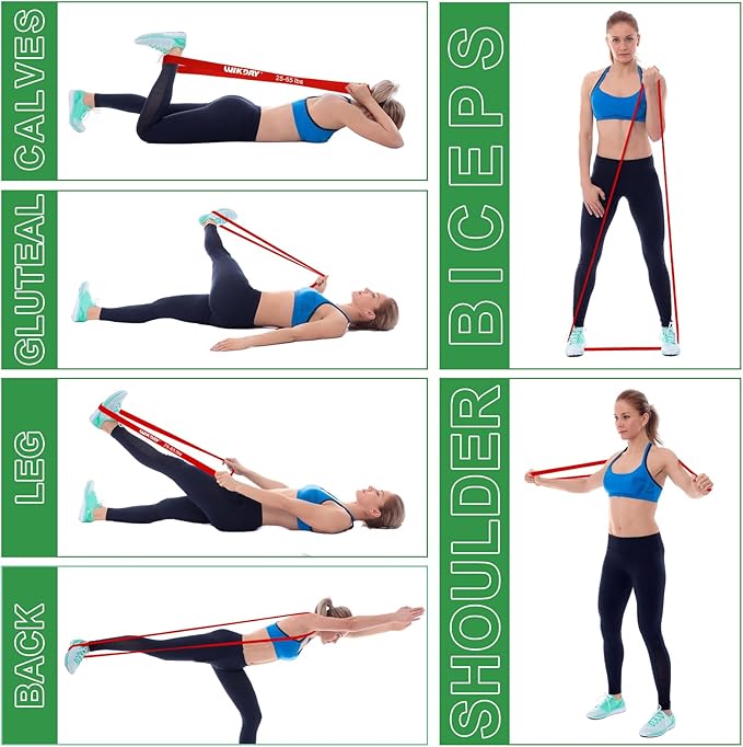 Resistance Bands, Pull Up Bands, Workout Bands for Exercise, Thick Heavy Resistance Band Set with Door Anchor, Elastic Bands for Body Stretching, Training at Home/Gym for Men & Women