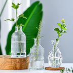 Brajttt Clear Flower Vase Set, Glass Bud Vase in Bulk Set of 8,Artistic and Cultural Flavor Mini Vases for Home Office Decor, Bedroom, Office, Living Room Decorations,Wedding
