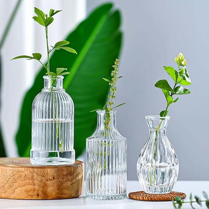 Brajttt Clear Flower Vase Set, Glass Bud Vase in Bulk Set of 8,Artistic and Cultural Flavor Mini Vases for Home Office Decor, Bedroom, Office, Living Room Decorations,Wedding