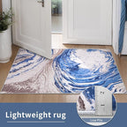 Ciicool Abstract Area Rug Indoor, 5x7 Swirl Washable Entryway Rug, Modern Soft Throw Entry Rug with Non-Slip Backing for Bedroom Living Room Entrance Kitchen, Low-Pile Floor Carpet Doormat Blue Brown