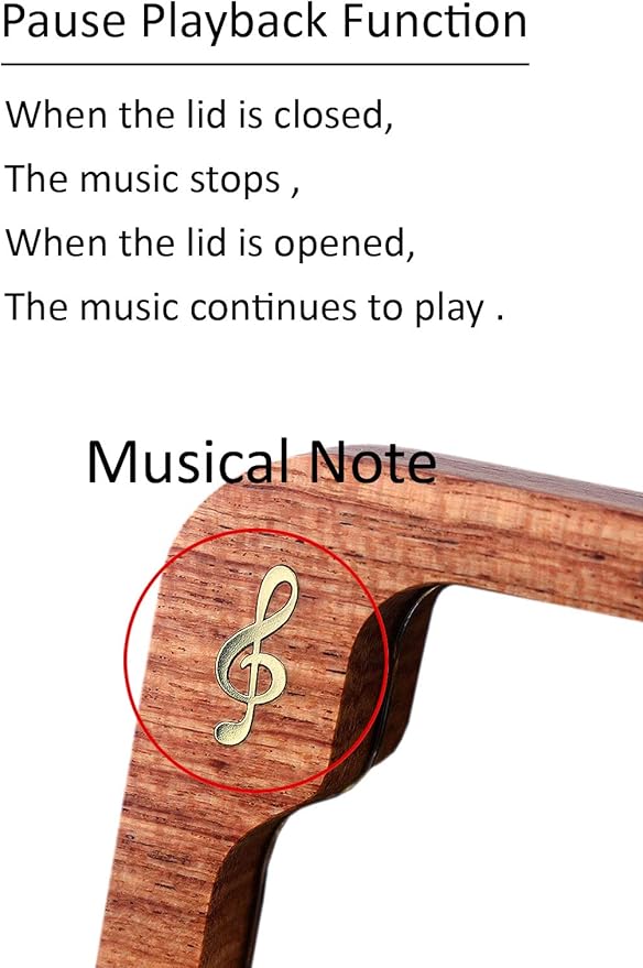 Sinzyo Anastasia-Once Upon a December Music Box Vintage Musical Boxs for Birthday Gift Valentine's Day Christmas Day(Musical Note Rosewood Box)