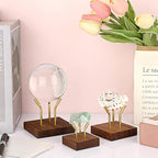 Hipiwe Sphere Display Stand Easel for Crystal Ball Mineral Geodes Rock Agate Small Collectibles Three Metal Peg Rock Display Easel with Wooden Base, Large