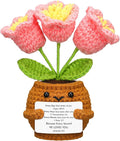Wavwavw Christian Gift for Women Positive Handmade Crochet Doll with Bible Verse Prayer Card Inspirational Scripture Religious Crochet for Christmas Sunday Group Church(Pink Lily Valley)