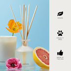 Apotheke Luxury Scented Oil Reed Diffuser Liquid Refill (Sea Salt Grapefruit) - Premium Home Fragrance Diffuser Refill Set with Sticks