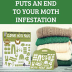 Triple Strength Clothes Moth Traps – Safe, Non-Toxic Closet Moth Prevention for Clothes & Wool – Pheromone Traps for House & Wardrobe Protection – 6 Pack