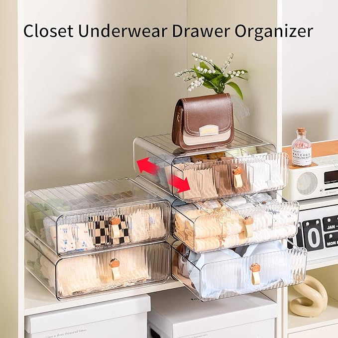 Underwear Drawer Organizer, Stackable Bra Organizer for Closet, 1 Cell Bra Storage, Sock and Underwear Organizer, Closet Organizers and Storage Drawer for Bra, Socks, Tie, Belt, Scarf