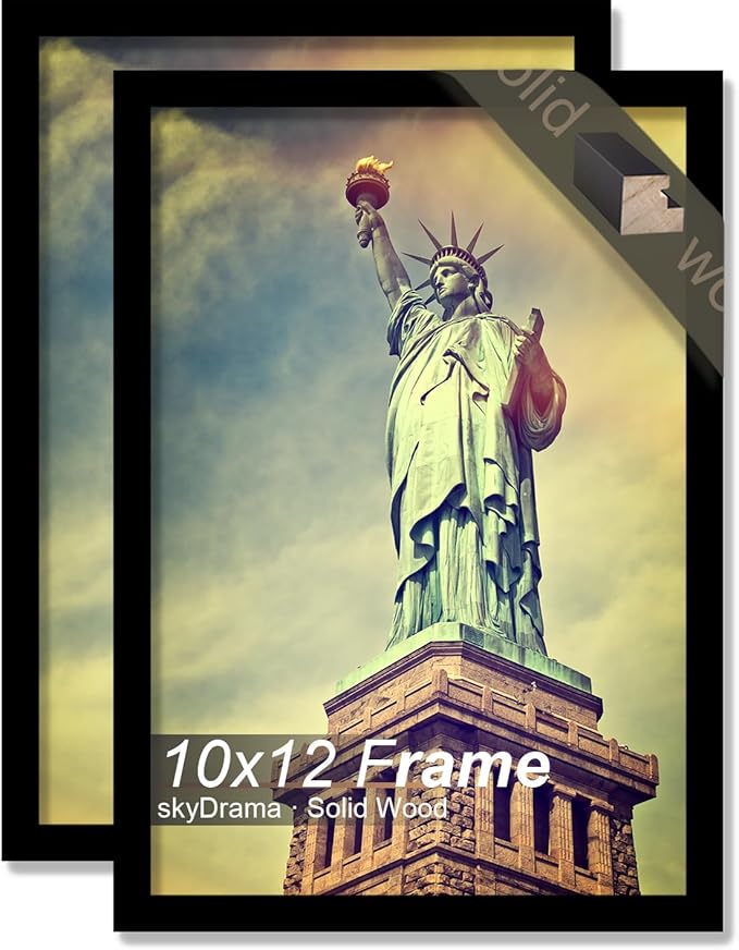 100% Solid Wood 10x12 Picture Frame Set of 2, Black Frame for 10 x 12 Inch Picture Poster Photo, Light Weight 10 by 12 HQ Matte Black Frame for Wall - 2 Pack/Black/10 x12