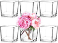 Set of 6 Square Glass Vases 5" x5" x 5", Clear Flower Vases for Centerpieces, Candle Holder for Wedding Party Events, Home Décor