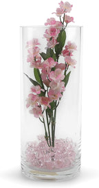 WGVI Quality Thick Weighted Clear Cylinder Glass Vases, 4" W x 10" H, Flower Arrangement Floating Candle Holders Wedding Centerpieces Terrarium Planter Floral Storage Container, Bulk Wholesale, 6 Pcs