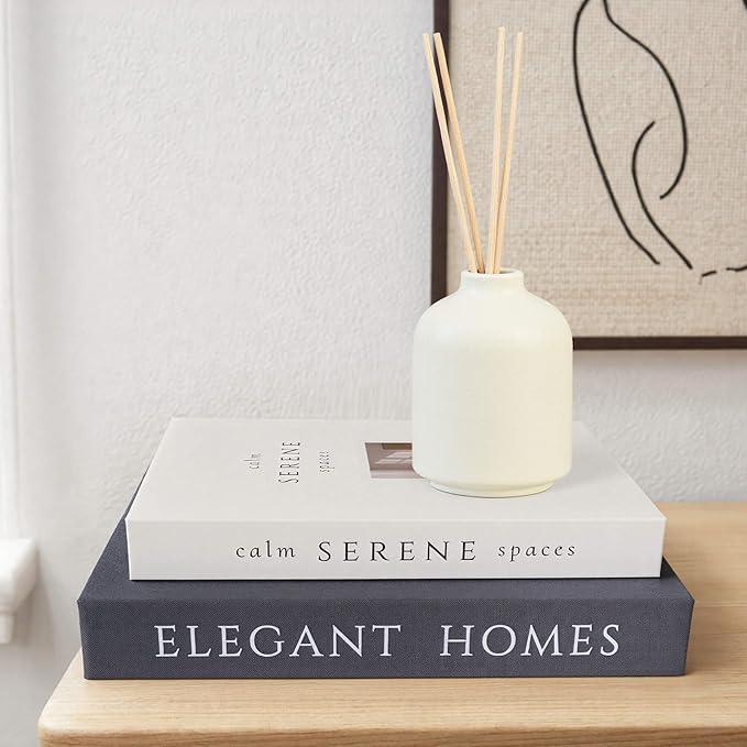 Decorative Books Set of 2, Faux Books Storage Box, Modern Home Decor for Coffee Table, Bookshelf, Mantel