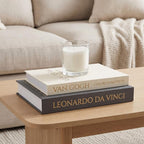 MAOBUYOU Decorative Storage Books Set of 2, Linen Cover, Gold Letters, Beige and Dark gray