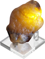Hipiwe Clear Acrylic Display Stand - Three-Peg Display Easel Stands for Fossil Coral Geodes Rock Mineral Agate Small Collectibles, Set of 4