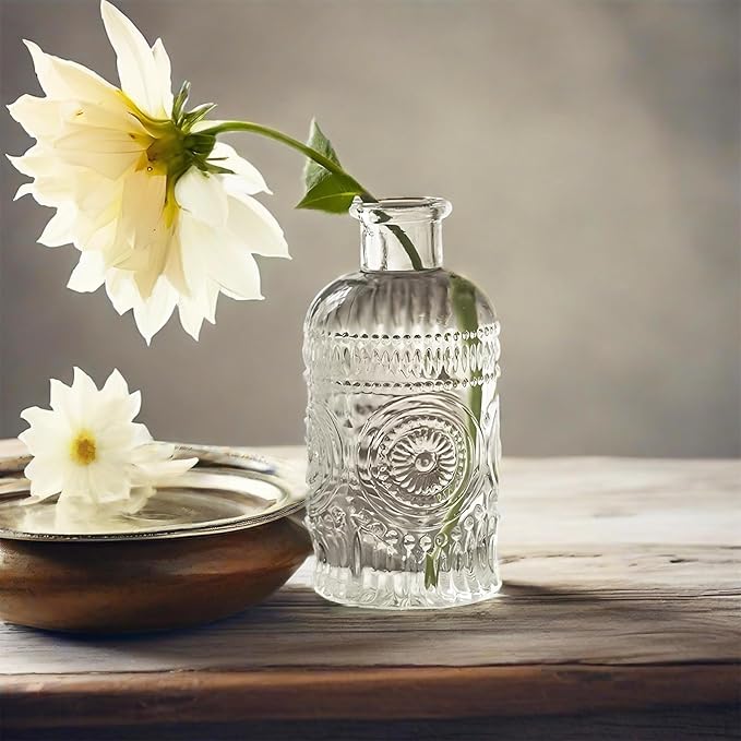 2Pcs Propagation Vases for Plants, Bud Vases, Small Glass Vase for Flowers, Home and Table Decor, Shelf, Desk, and Office