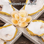 QEQEKAKA Cross Wall Decor - Handmade Oyster Shells Cross Wood Wall Decor for Christian Wall Art Decor Religious Gift Indoor Outdoor Home Decor