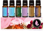 Eternal Essence Oils Spa Day Set of 6 Premium Fragrance Oils - Includes Lavender Breeze, Sweet Rain, Coconut Sandalwood, Black Fig & Honey, Patchouli Saffron, and Spa Scented Oils - 10ML