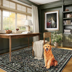 Traditional Design Vintage Floral Area Rug 5 x 7,Washable Area Rugs - Perfect for Living Room, Bedroom, Pet & Child Friendly, Nursery - Stain & Water Resistant Non-Slip, Dining Room Decor
