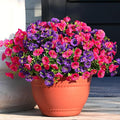 Waipfaru Artificial Flowers for Outdoors, 24 Bundles Faux Plants Outdoor, UV Resistant Artificial Plants Outdoor, Silk Petunias Fake Flowers for Outside Home Decor Planter Porch Decoration, Mix Color