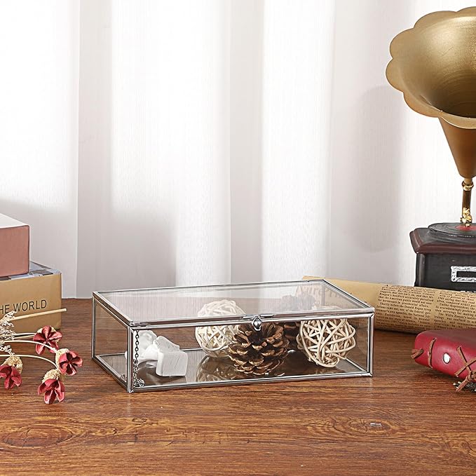 Hipiwe Glass Keepsake Display and Jewelry Organizer With Lid - Silver Decorative Clear Rectangle Storage for Trinket Perfume Collection - Gift for Birthday Anniversaries, Large