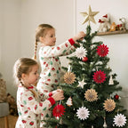 EASY JOY Christmas Hanging Decorations-9Pcs Small Christmas Paper Ornaments 3D White Red Brown Snowflake Ornaments Xmas Tree Decorations Outdoor Indoor for Xmas Boho New Year Home Decor