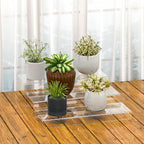 Sezanrpt Rectangular Acrylic Display Risers Stands 3pcs, Dessert Table Display Rack, Clear Display Shelf for Funko Pop, Collectibles, Retails, Shoes, Glasses, Plants, Home Decors, Perfume - 12-1'', 2'', 3''