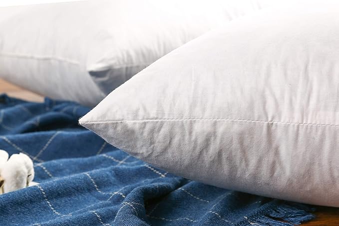 JA COMFORTS 24×24 Premium Goose Down Feather Throw Pillow Inserts(Set of 2)-5% Down Filling,High Filling Weight,250 TC Cotton Cover, Square, White