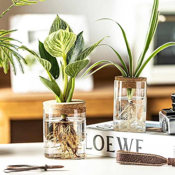 Glass Propagation Stations for Plants -Desktop Flower Vases,Propagation Flower Vases Set – 6 Large & 6 Small for Plant Cuttings，for Living Room, Bedroom Decoration,Home,Office Decor (12)