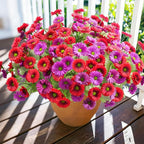 HyeFlora Artificial Flowers for Outdoors Spring Summer Decor, 6 Bundles Fake Daisy Silk Flowers for Outside Realistic UV Resistant Faux Plants for Outdoor Planters Porch Porch Patio Balcony Yard Home