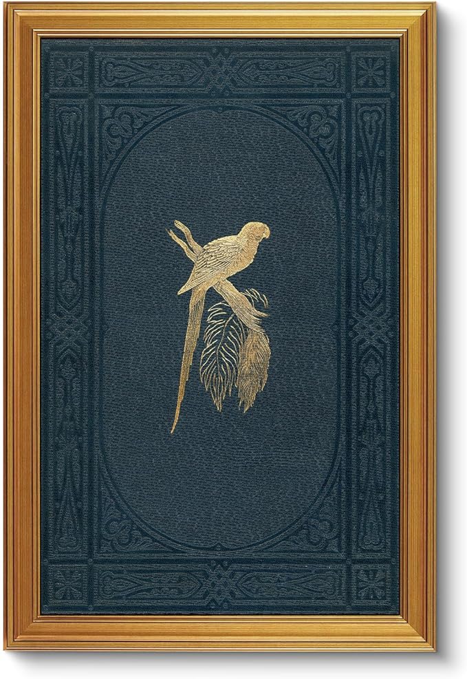 VIYYIEA Vintage Gold Framed Wall Art for Living Room, Macaw Canvas Prints Home Decor, Large Oil Painting Picture, Bedroom Wall Decor Gifts for Friends or Family -【Macaw】-(36L x 24W)