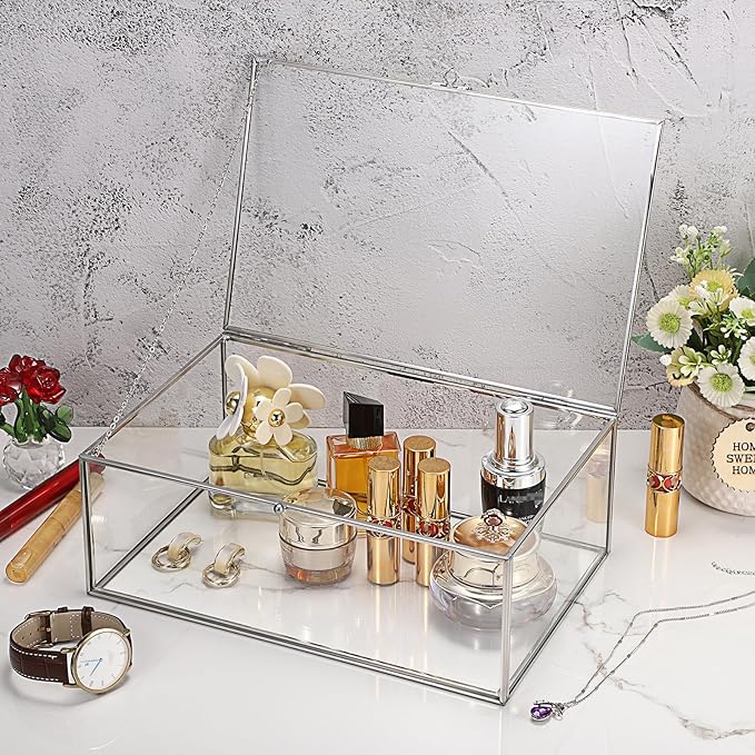 Hipiwe Vintage Silver Rectangle Jewelry Display Organizer Box with Lid, X-Large, USSN202312DUH