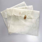 3 Pieces Scarf Storage Bag Beige Encrypted Matte Button Yarn Envelope Silk for Scarf Gifts Organza Clothing Wardrobe Organizer Packaging Bags 13 x 11.8 Inches