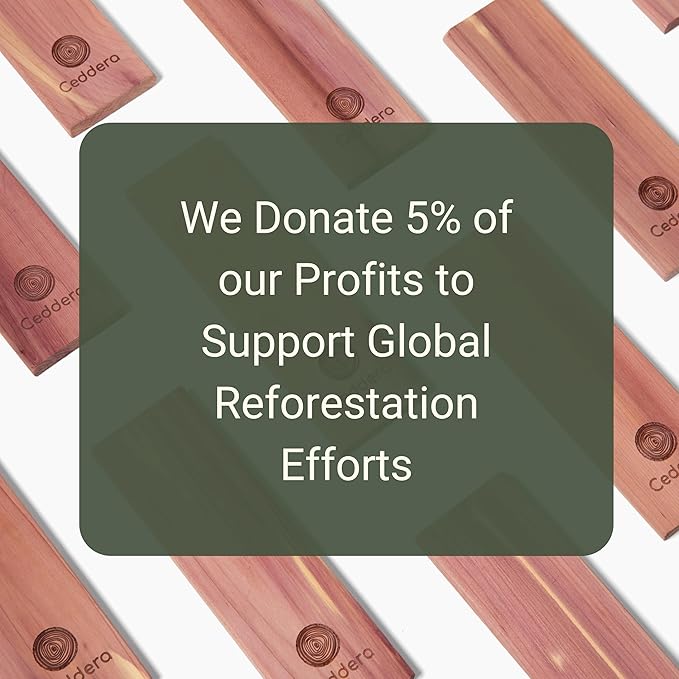 Essential Cedar Bundle | Natural Cedar Blocks for Clothes Storage | Eco Friendly Cedarwood for Closets | Moth Ball Alternative | 58 Total Pieces - 8 Hang Ups, 24 Rings, 24 Balls & 2 Sachets