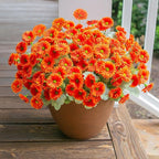 HyeFlora Dahlia Artificial Flowers for Outdoors Faux Plants Spring Decoration, 6 Bundles Fake Outdoor Flower Realistic Daisy UV Resistant Silk Flowers for Outside Planter Patio Yard Garden Porch Home