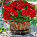 Artificial Geraniums Flowers for Outdoors Spring Decor, Fake Flowers 4 Bundles UV Resistant Fake Geraniums Flowers Silk Faux Plants for Home Planter Gardens Table Patio Porch Hanging Summer Decor(Red)