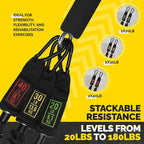 Tribe Lifting Tube Resistance Bands for Working Out Men and Women - 180lb Exercise Bands Set with Handles, Resistance Band Bar, Ankle Straps, Foot Straps, Door Anchor for Home Gym Strength Training