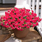 HyeFlora Artificial Faux Outdoor Flowers Plants for Spring Summer Decoration, Fake Silk Hotpink Camellia UV Resistant Look Real for Planter Outside Front Door Porch Patio Balcony, 3 Large Bundles